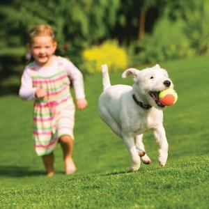 Girl with dog